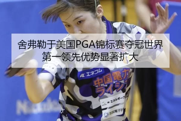 she-fu-lei-yu-mei-guo-jin-biao-sai-duo-guan-shi-jie-di-yi-ling-xian-you-shi-xian-zhu-kuo-da-3-227.jpg